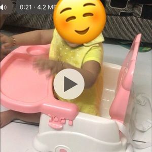 Babyhug booster chair